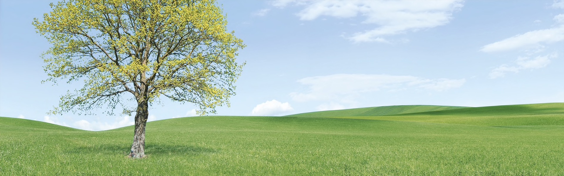 Pompe à Chaleur économique et écologique